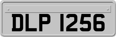 DLP1256