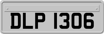 DLP1306