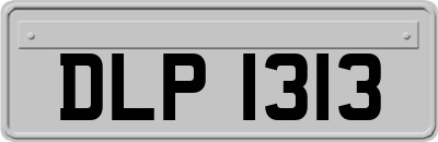 DLP1313