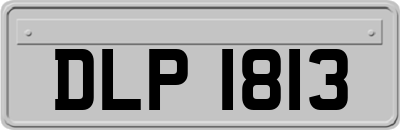 DLP1813