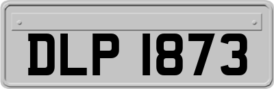 DLP1873