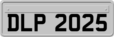 DLP2025