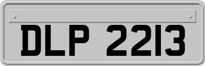 DLP2213
