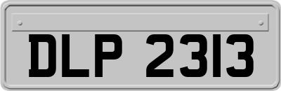 DLP2313