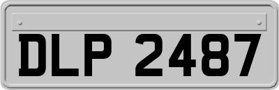 DLP2487