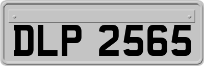DLP2565