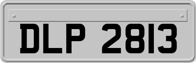 DLP2813