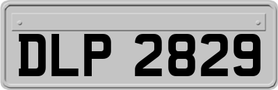 DLP2829