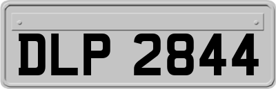 DLP2844