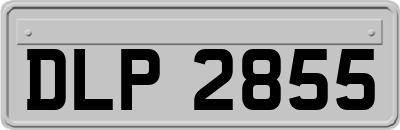 DLP2855