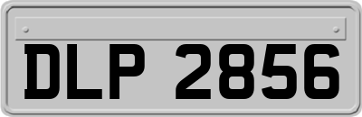 DLP2856