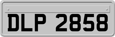DLP2858