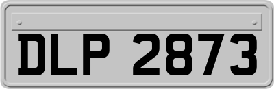 DLP2873