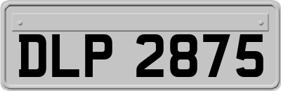 DLP2875