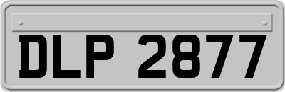 DLP2877