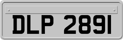 DLP2891