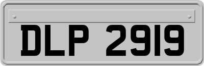 DLP2919