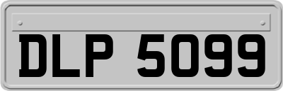 DLP5099