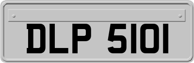 DLP5101
