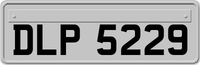 DLP5229
