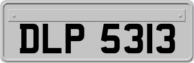 DLP5313