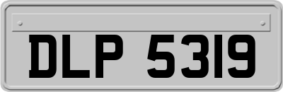DLP5319