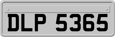 DLP5365