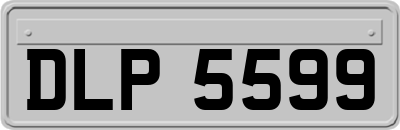 DLP5599