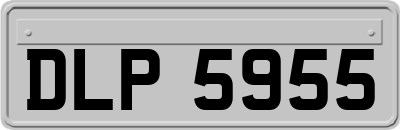 DLP5955
