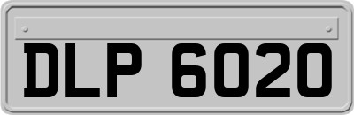 DLP6020