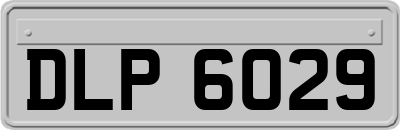 DLP6029
