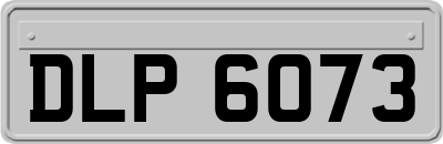 DLP6073