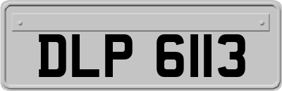 DLP6113