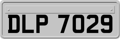 DLP7029