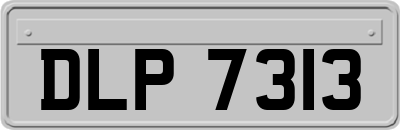 DLP7313