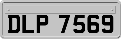 DLP7569