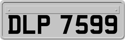 DLP7599