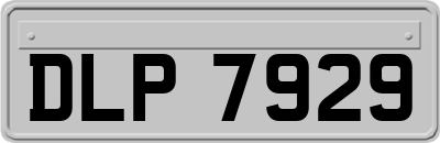 DLP7929