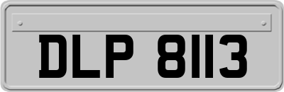DLP8113