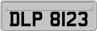 DLP8123