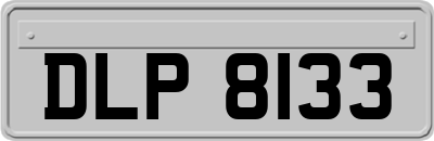 DLP8133