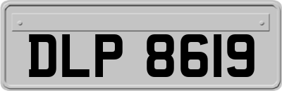 DLP8619