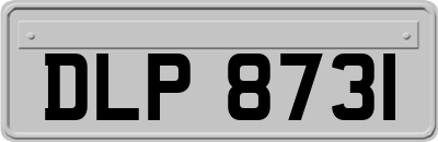 DLP8731
