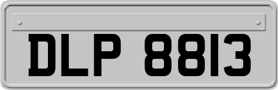 DLP8813