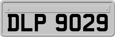 DLP9029