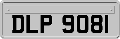 DLP9081