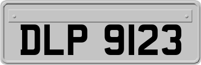 DLP9123