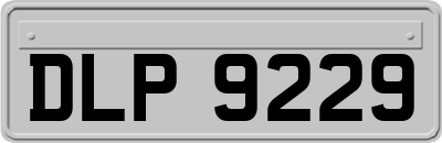 DLP9229