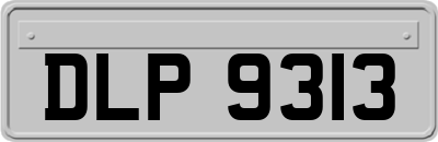 DLP9313