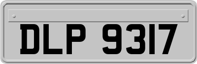 DLP9317